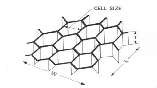 cell structure